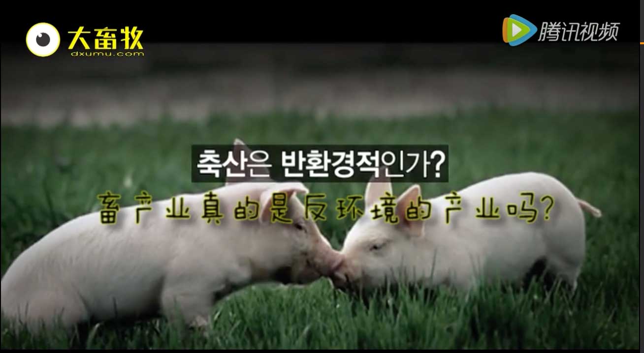 看韩国人如何把猪场做成五星级！（中文字幕）