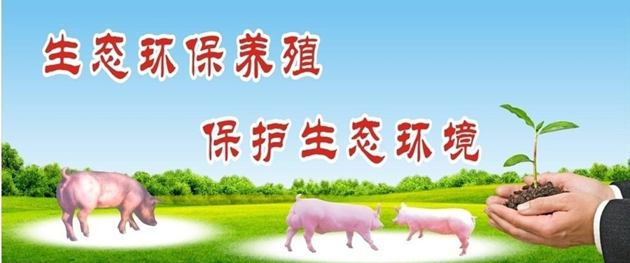 集思广益，博取众长，让环保不再成为中国养殖的困扰