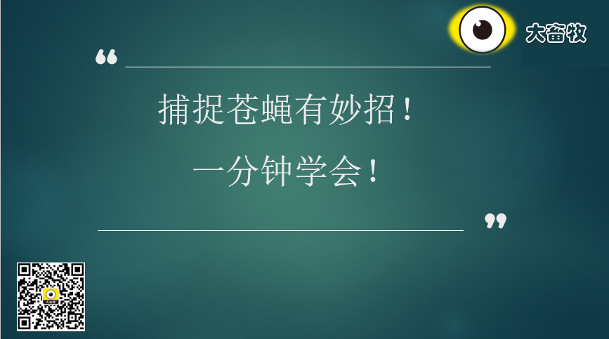 养殖场苍蝇多？不用怕，1分钟学会自制扑蝇器！
