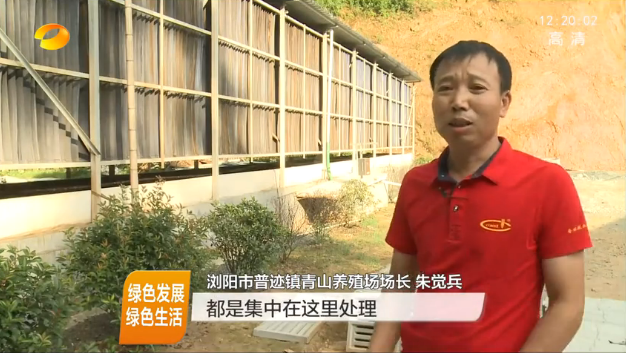 【视频】牛！一个60岁员工轻松养4000头猪，还能做到“零排放”