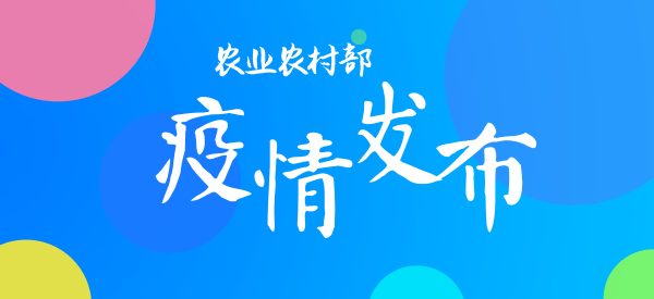 2025年首起小反刍兽疫疫情！新疆哈密市查获处置一起羊小反刍兽疫疫情