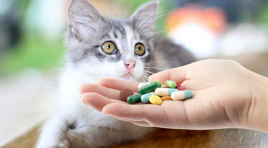 我国兽用抗菌药使用量持续下降