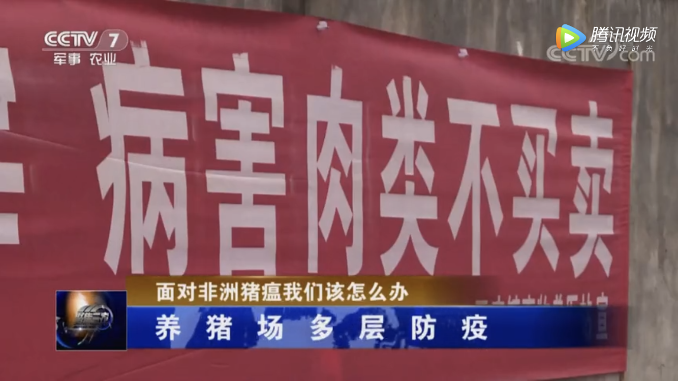 《聚焦三农》:面对非洲猪瘟我们该怎么办?