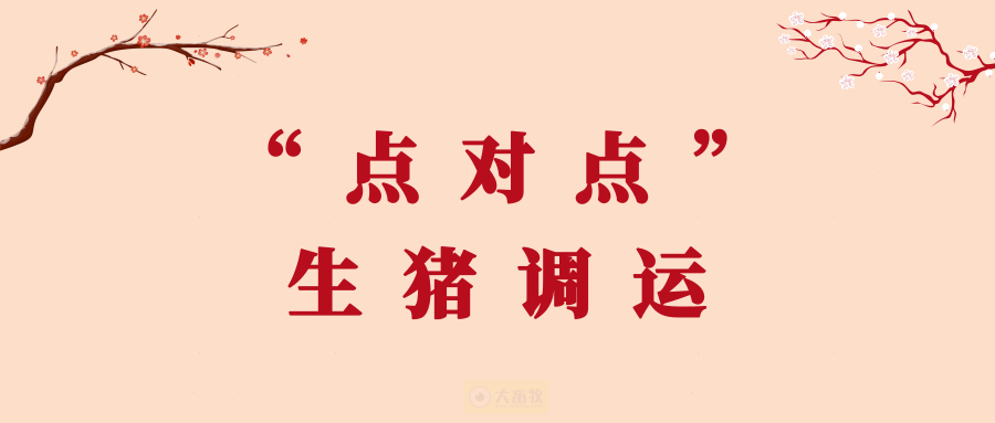 允许临界地市在不同大区300公里范围内正常调运生猪？农业农村部答复