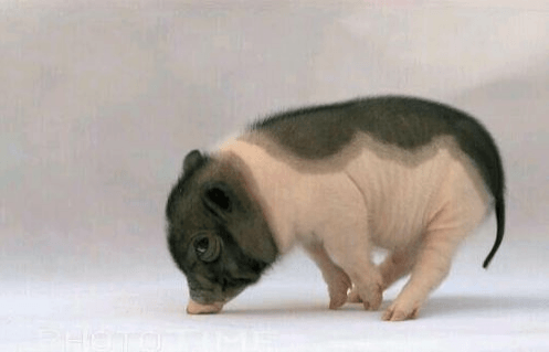 从牧原离职两年后有感