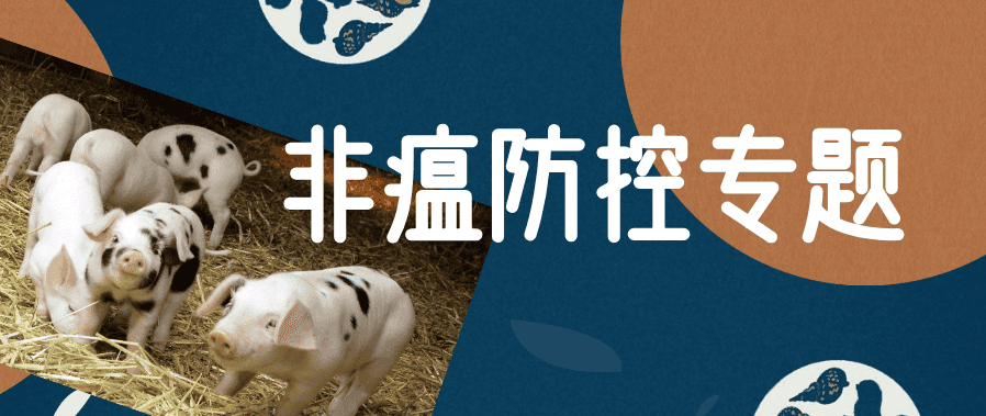 非洲猪瘟变异株防不胜防,养猪人该如何监测?官方出招