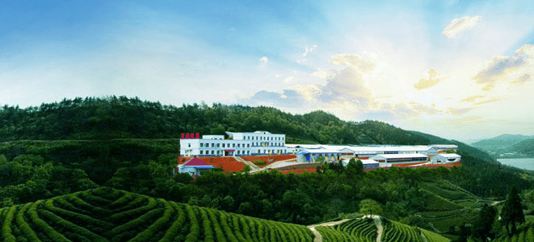 唐人神：预计2020年净利润最高11亿元，同比增长4倍多