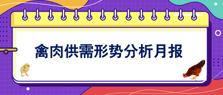 2025年10月国内禽肉市场行情分析——禽肉价格小幅回落