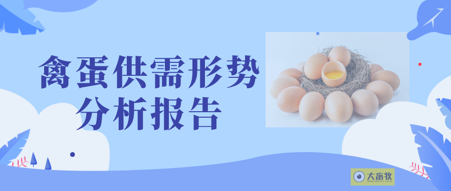 2025年10月国内禽蛋市场行情分析——鸡蛋价格小幅下跌