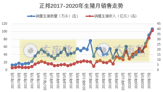 【8月生猪数据】正邦单月生猪销量首次破百万头,同比增长233%