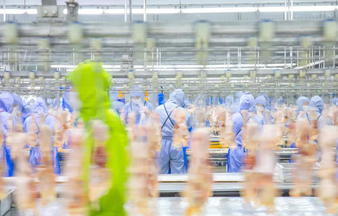 湖南取消现场宰杀交易，力争5年创建50家标准化屠宰场