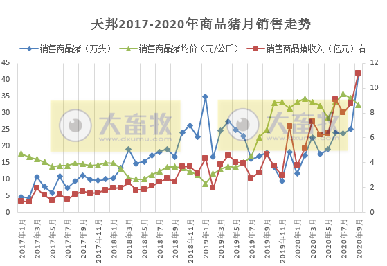 牧原、温氏等13家上市猪企2020年1-9月生猪销售PK，有4家生猪销量已超去年全年水平