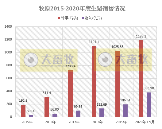 牧原、温氏等13家上市猪企2020年1-9月生猪销售PK，有4家生猪销量已超去年全年水平