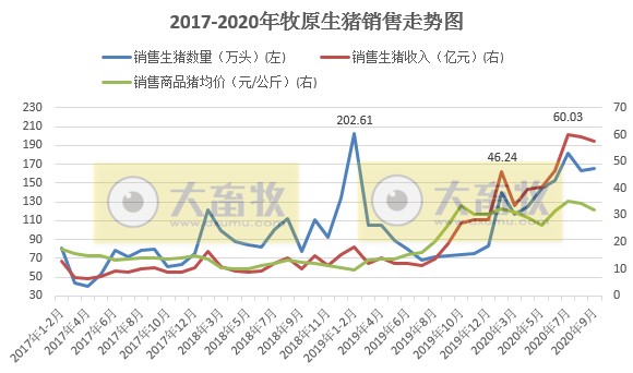 牧原、温氏等13家上市猪企2020年1-9月生猪销售PK，有4家生猪销量已超去年全年水平