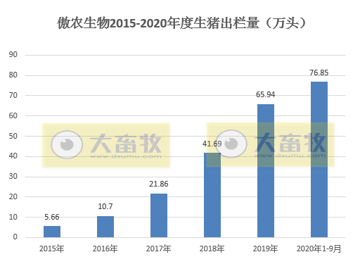 牧原、温氏等13家上市猪企2020年1-9月生猪销售PK，有4家生猪销量已超去年全年水平