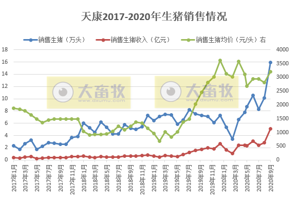 牧原、温氏等13家上市猪企2020年1-9月生猪销售PK，有4家生猪销量已超去年全年水平