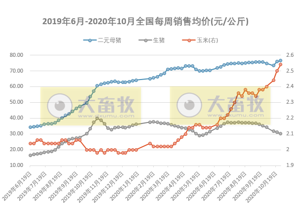 【20201122更新】2020年10月生猪行业数据汇总