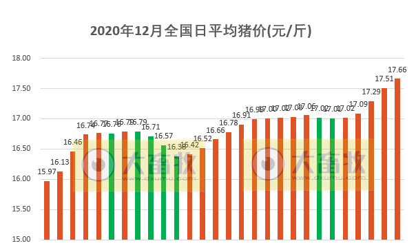 2020.12.28-今日猪价上涨势头依旧强劲，新希望已经完成今年生猪800万头出栏任务，牧原和新希望今年生猪养殖成本均在14-15元/公斤