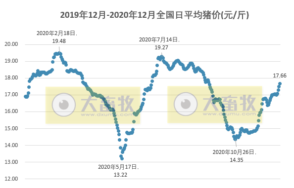 2020.12.28-今日猪价上涨势头依旧强劲，新希望已经完成今年生猪800万头出栏任务，牧原和新希望今年生猪养殖成本均在14-15元/公斤