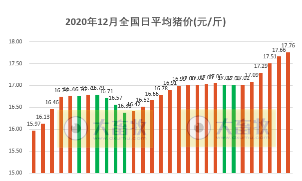 2020.12.29-今日猪价继续上涨，二元母猪价格也在涨，半个月累计从国外引进种猪超1万头，分析师预计2021全年生猪均价22.2-24.5元/公斤，走势前高后低