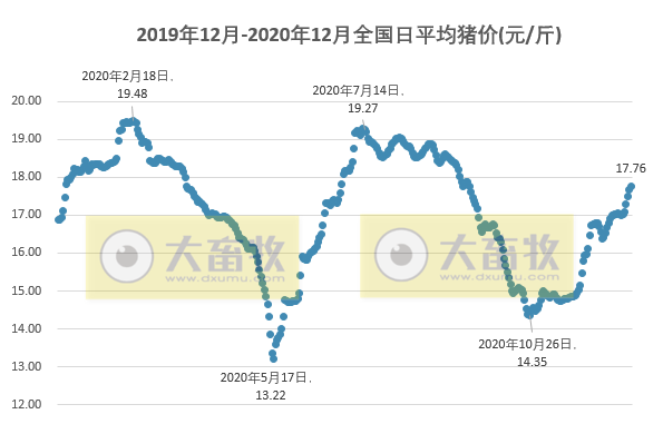 2020.12.29-今日猪价继续上涨，二元母猪价格也在涨，半个月累计从国外引进种猪超1万头，分析师预计2021全年生猪均价22.2-24.5元/公斤，走势前高后低