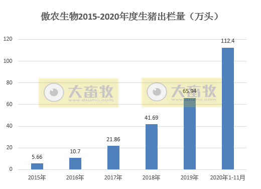 牧原、温氏等12家上市猪企11月生猪销售情况