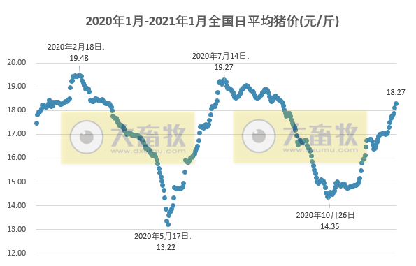 2021.01.02-猪价十连涨，2020中国畜牧业50强出炉，大商所正式公布生猪期货合约，广东去年前11月查获冻品走私量4.3万吨增九成，海南生猪存栏量恢复近八成
