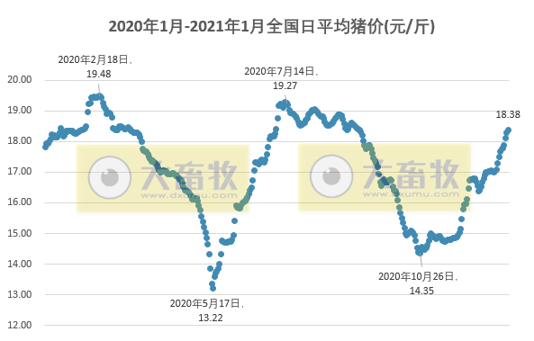 2021.01.03-今日猪价浙江海南率先破20，京基智能、牧原和新希望与深圳签约将年供大湾区1500万头生猪，我国首批新冠疫苗接种开始