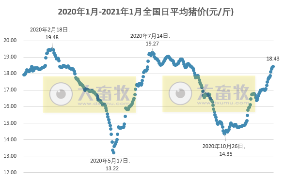 2021.01.04-今日猪价整体仍上涨,东北略跌,牧原2020年12月生猪销量264万头累计1181.5万头,2021年首个交易日多家上市猪企涨停