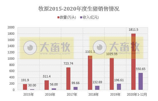 2020开疆拓土，2021将牛气冲天，12家上市猪企2020年12月生猪销售情况