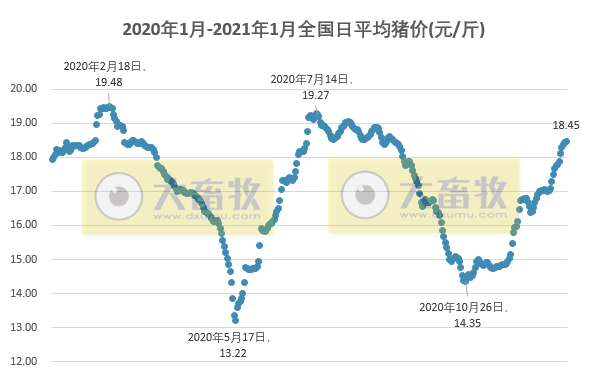2021.01.05-今日猪价稳中有涨，华南上涨明显，二元母猪价格上涨，金新农2020年生猪销量翻倍，河南购买进口冷链食品需实名制