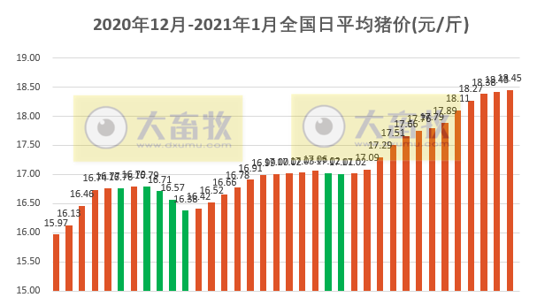 2021.01.05-今日猪价稳中有涨，华南上涨明显，二元母猪价格上涨，金新农2020年生猪销量翻倍，河南购买进口冷链食品需实名制