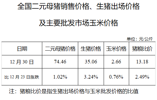2021.01.05-今日猪价稳中有涨，华南上涨明显，二元母猪价格上涨，金新农2020年生猪销量翻倍，河南购买进口冷链食品需实名制