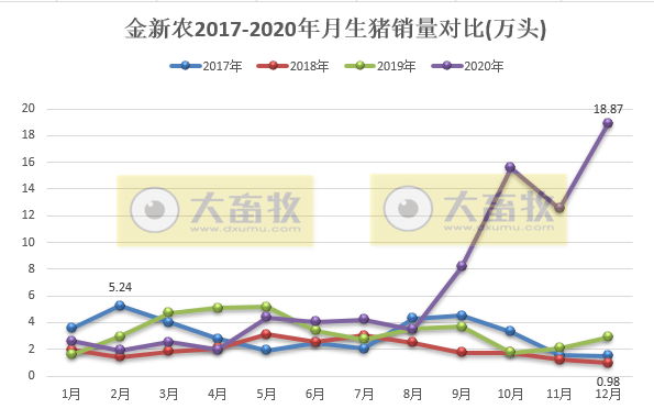 金新农2020年生猪销售数据，最后4个月生猪销售激增，比2019年全年还要多