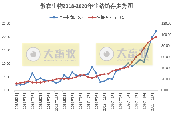 2020开疆拓土，2021将牛气冲天，12家上市猪企2020年12月生猪销售情况