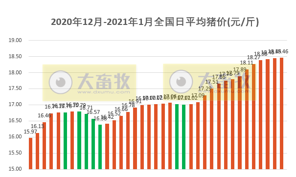 2021.01.06-今日猪价上涨放缓，仔猪和玉米价格继续上涨，傲农2023年生猪目标1000万头3年增860万头，新五丰拟募资10亿建母猪场