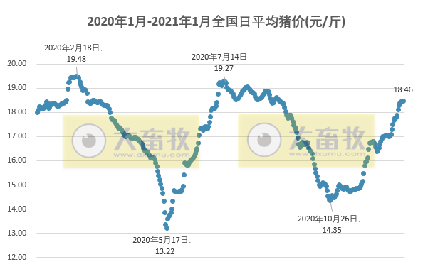 2021.01.06-今日猪价上涨放缓，仔猪和玉米价格继续上涨，傲农2023年生猪目标1000万头3年增860万头，新五丰拟募资10亿建母猪场