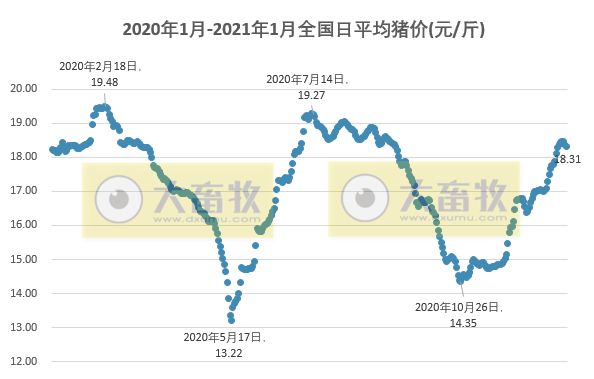 2021.01.08-今日猪价大面积飘绿，生猪期货正式上市，首日不断跳水，正邦2020年生猪销量956万头完成任务单月销量破纪录
