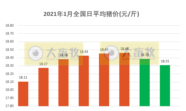 2021.01.08-今日猪价大面积飘绿，生猪期货正式上市，首日不断跳水，正邦2020年生猪销量956万头完成任务单月销量破纪录