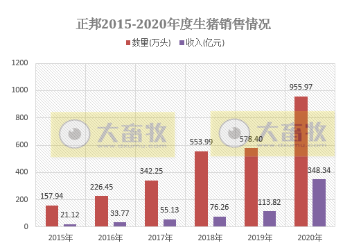 2020开疆拓土，2021将牛气冲天，12家上市猪企2020年12月生猪销售情况