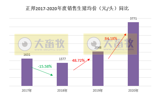 正邦2020年生猪销售数据，销量955.97万头，跃居上市猪企第二