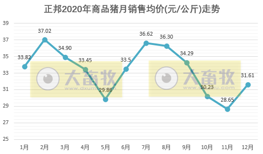 正邦2020年生猪销售数据，销量955.97万头，跃居上市猪企第二