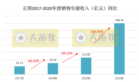 正邦2020年生猪销售数据，销量955.97万头，跃居上市猪企第二