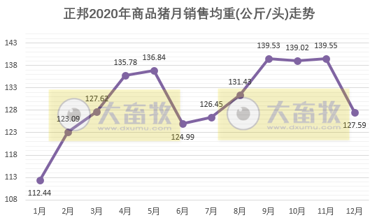 正邦2020年生猪销售数据，销量955.97万头，跃居上市猪企第二