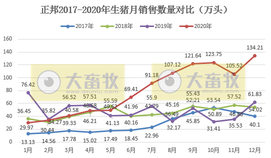 正邦2020年生猪销售数据，销量955.97万头，跃居上市猪企第二