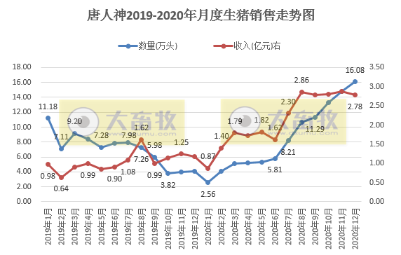 2020开疆拓土，2021将牛气冲天，12家上市猪企2020年12月生猪销售情况