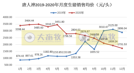 唐人神2020年生猪销量突破100万头