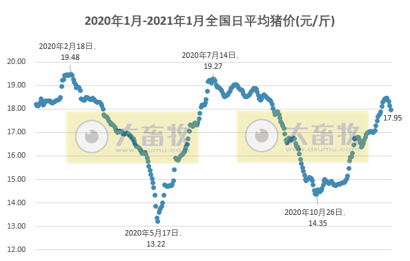 2021.01.10-今日猪价连跌4天,全国均价跌破18元,10家猪企2020年生猪销售出炉,多数突破历史纪录,正邦今年2500万头生猪出栏计划不变