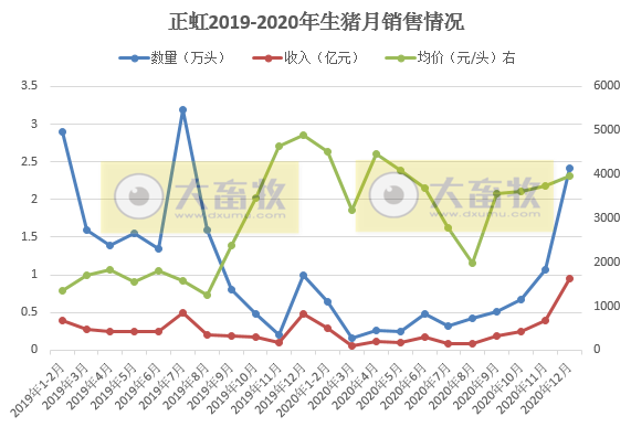 2020开疆拓土，2021将牛气冲天，12家上市猪企2020年12月生猪销售情况