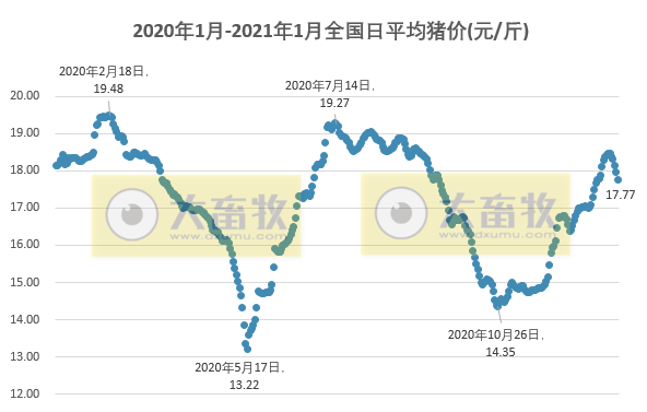 2021.01.11-今日猪价继续下跌,新希望2位高管辞职并推出史上最大力度的10亿市值股权激励计划,上市猪企和生猪期货行情一片绿油油